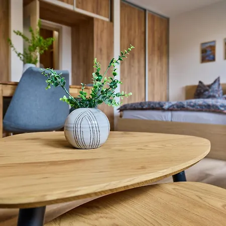 Cerny Dul-2 By Interhome Černý Důl