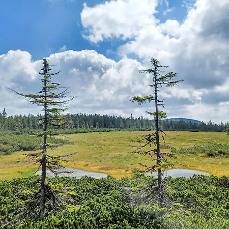 Appartement Cerny Dul-2 By Interhome *