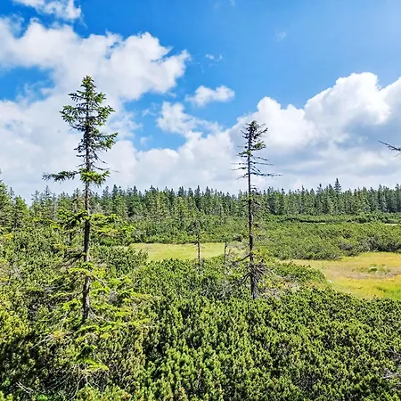 Cerny Dul-2 By Interhome Černý Důl