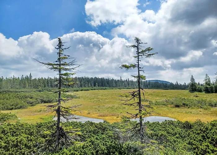 アパート Cerny Dul-2 By Interhome *