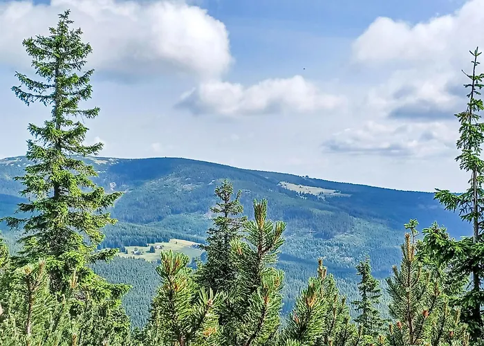 Appartement Cerny Dul-2 By Interhome *