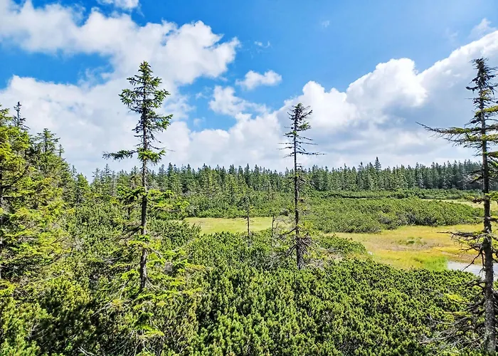 Cerny Dul-2 By Interhome Černý Dŭl