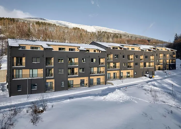 Appartement Cerny Dul-2 By Interhome